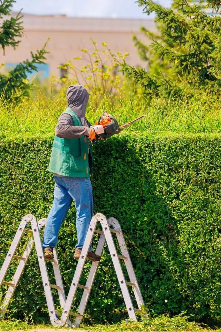 Estate Maintenance