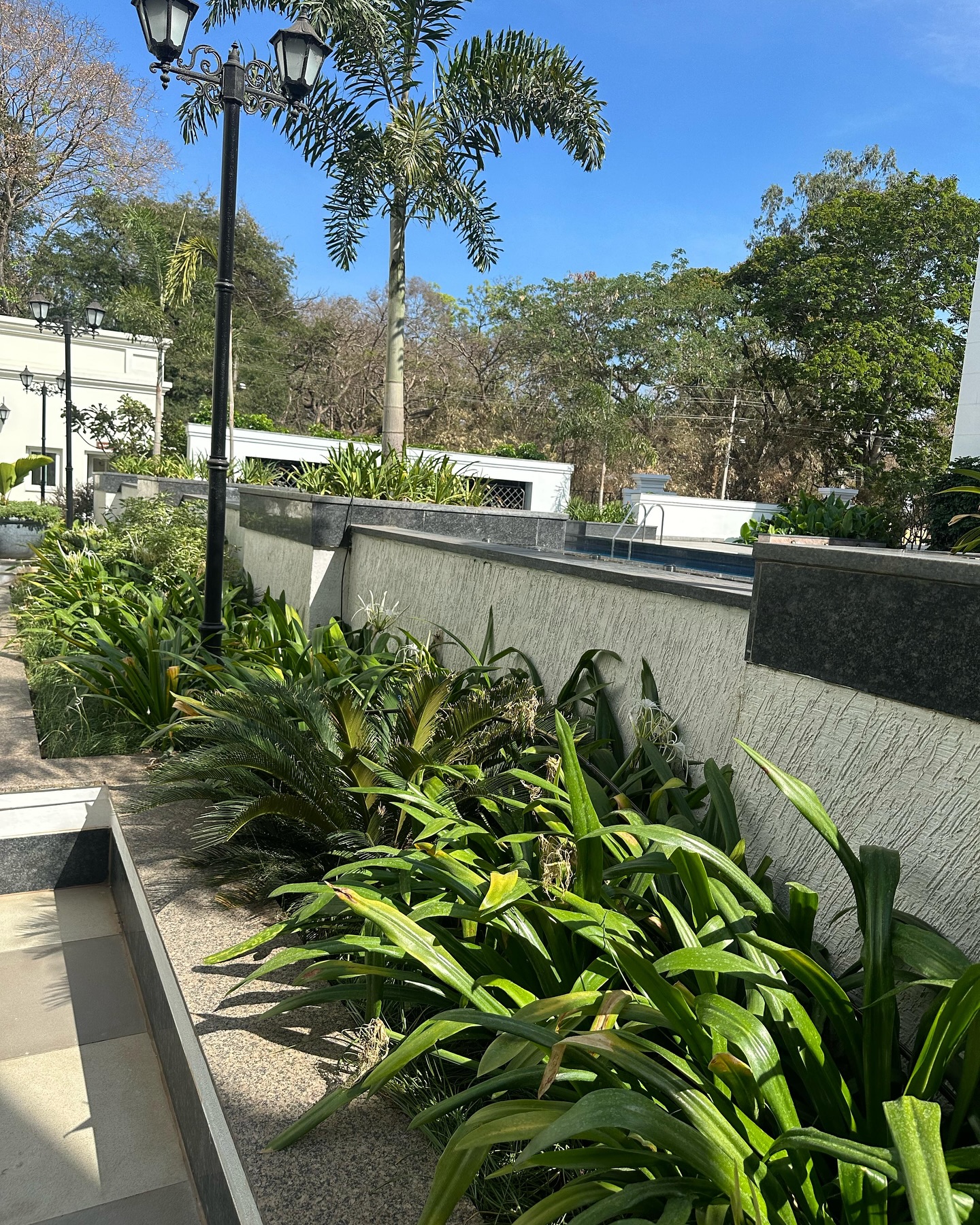 sankalp