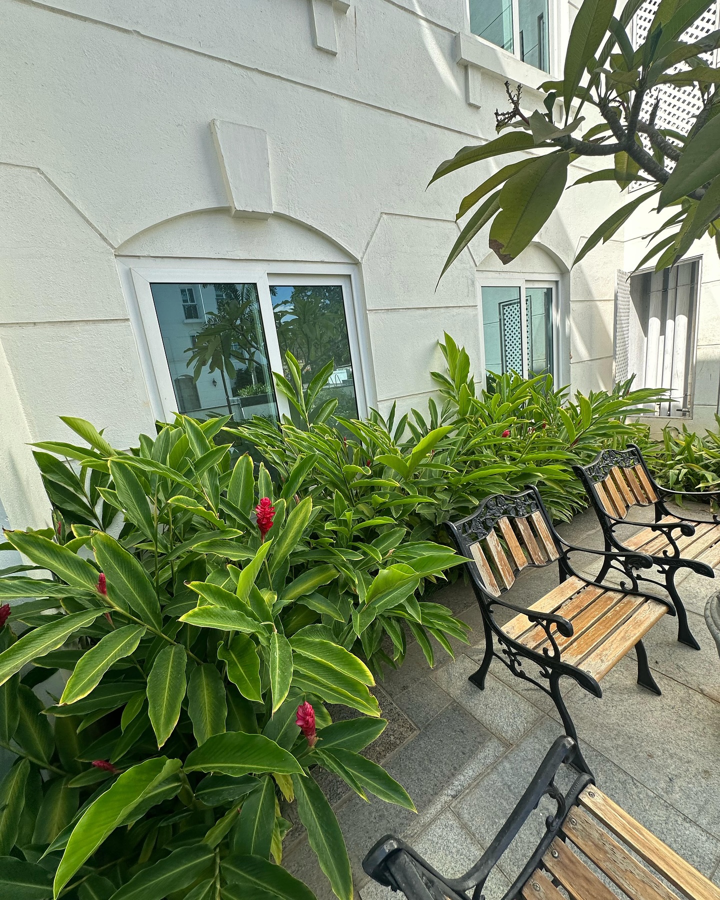 Landscape architect in a private garden at golden hour